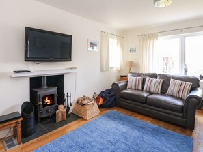 TV, DVD 플레이어