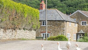 A rural road with a stone wall and a stone building with a chimney in the background. - Market House (Weymouth)