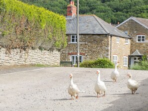 Cottage | Interior - Market House (Weymouth)