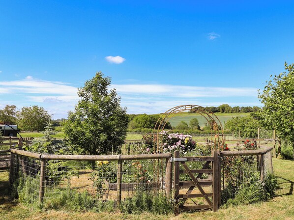 A rural landscape with a wooden gate, a metal archway, and a variety of plants and flowers.