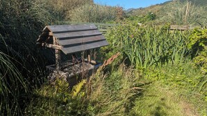 A rustic wooden structure with a sloped roof, surrounded by dense vegetation and a clear blue sky.