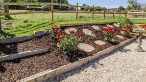 A garden with raised flower beds and a wooden fence. - Puddleducks (Sherborne)