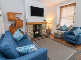 Una sala de estar con chimenea de piedra, sofás azules, televisor de pantalla plana, estanterías de madera y una ventana con persianas.