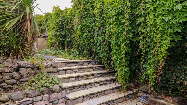 Uma escadaria de pedra leva a um muro de pedra, cercada por vegetação exuberante.