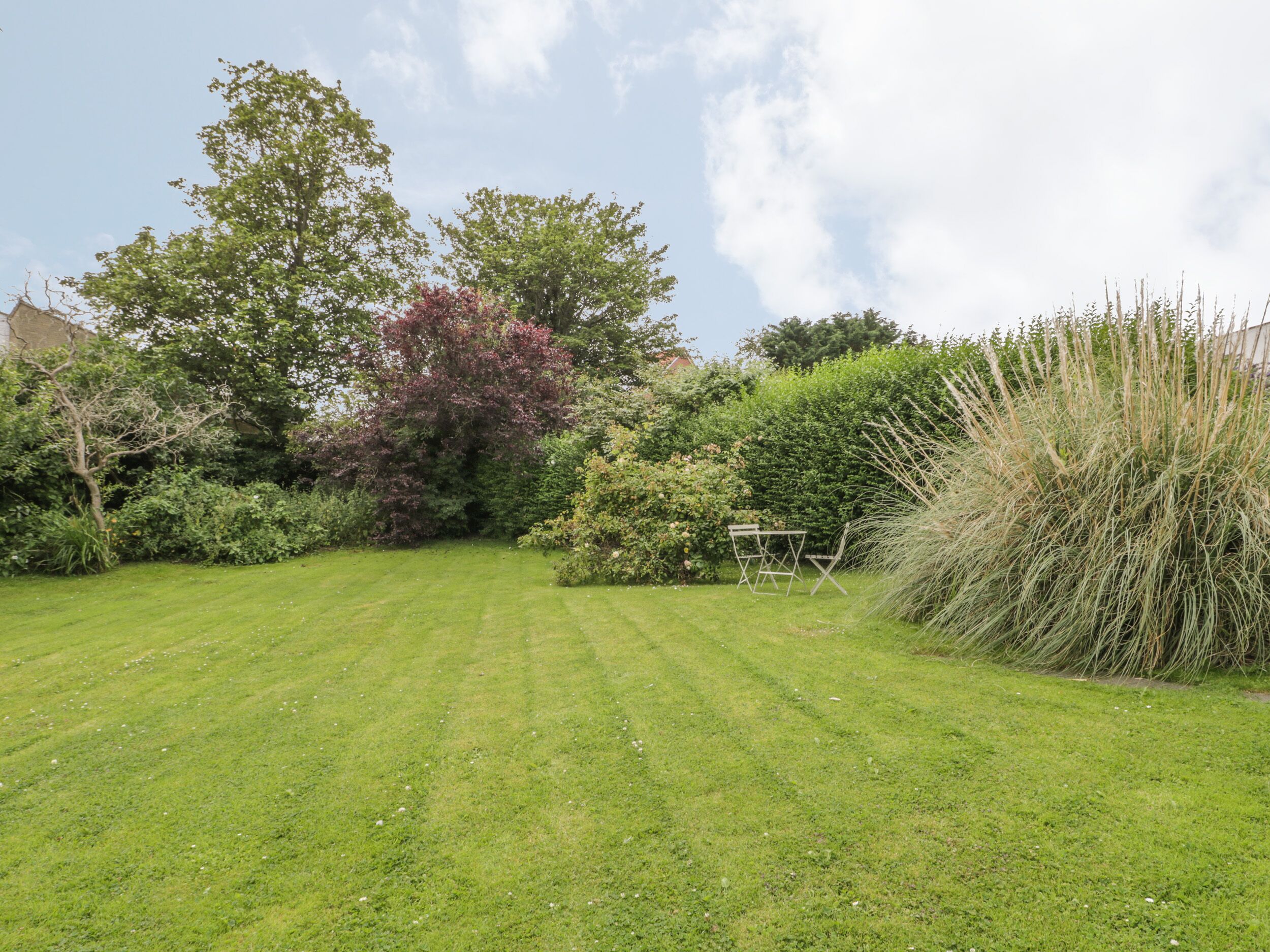 A well-maintained lawn with a swing set and dense shrubbery.