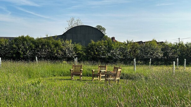 A field with tall grass and a wooden bench in the foreground.