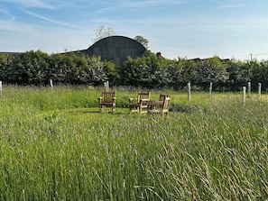 A field with tall grass and a wooden bench in the foreground.