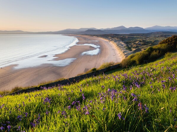 Casa de campo | Interior