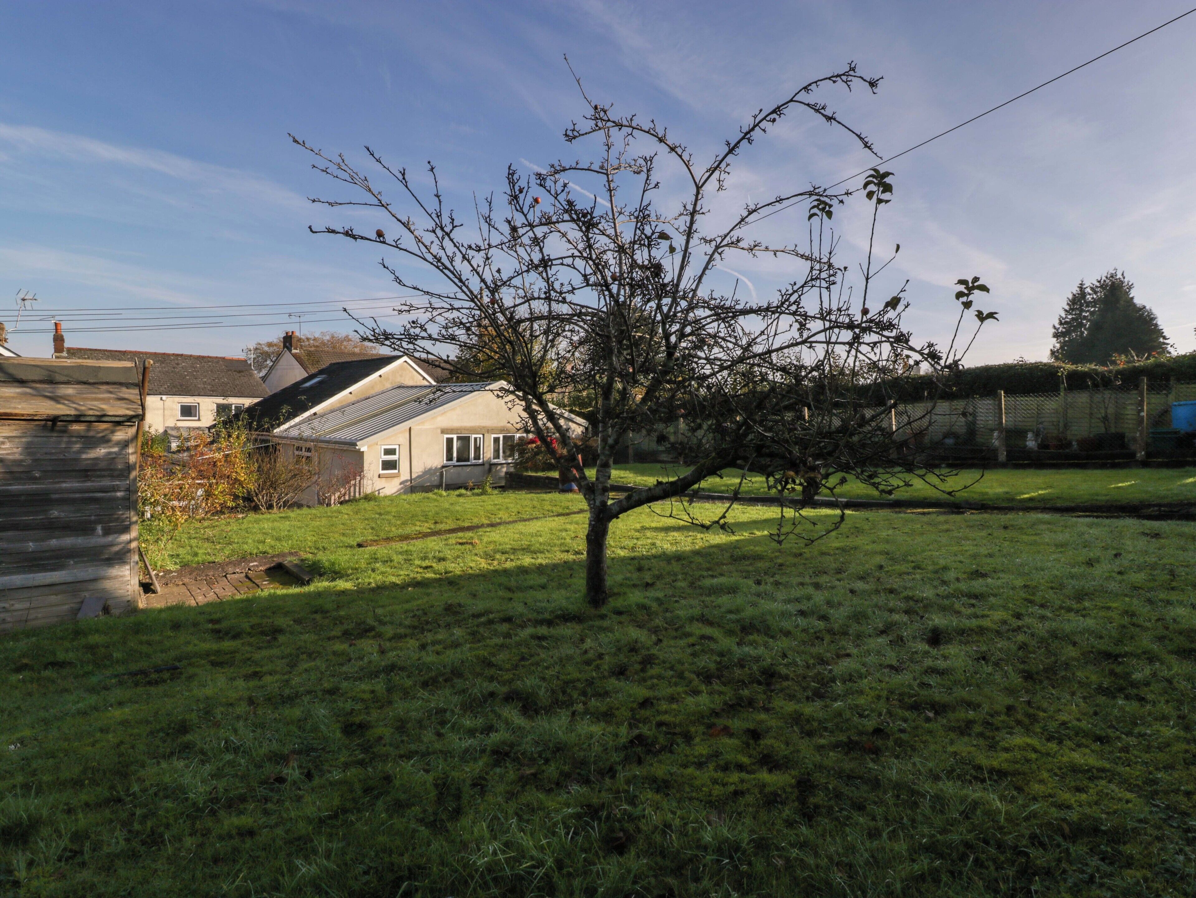 A residential area with a house, a small tree, and a grassy yard.