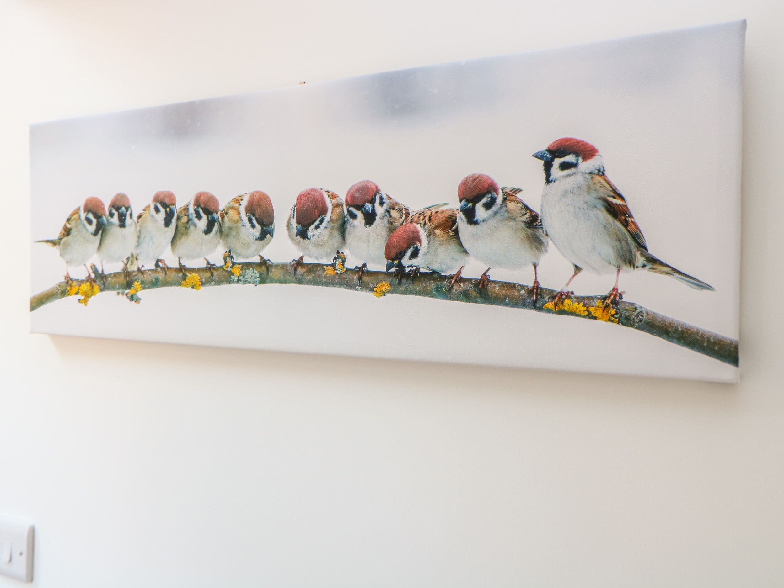 Un tableau représentant une rangée d’oiseaux perchés sur une branche.