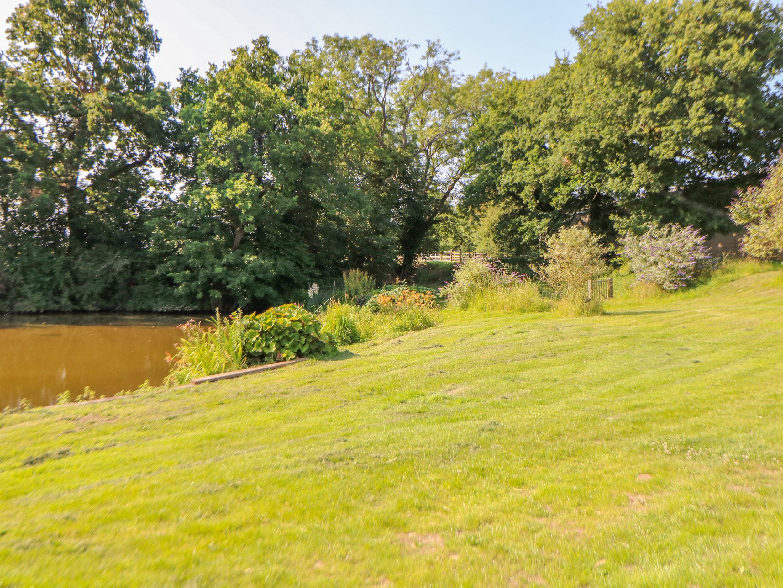 A grassy area with a pond and trees.