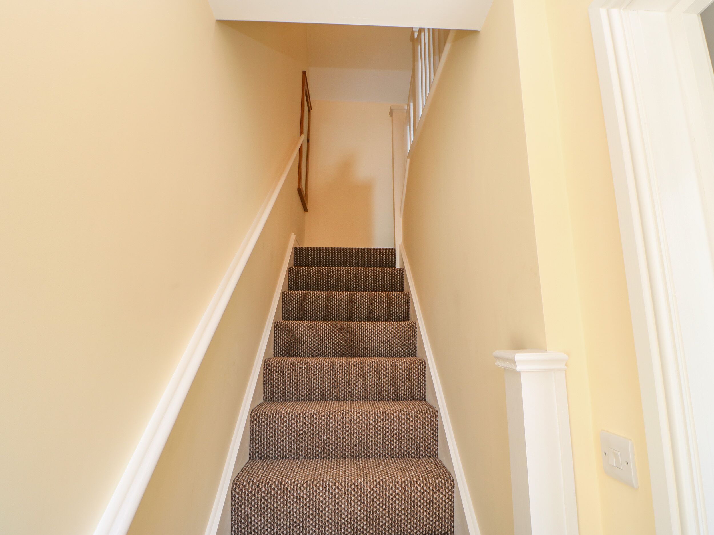 A staircase with carpeted steps and white handrails, leading to a landing with a light switch.