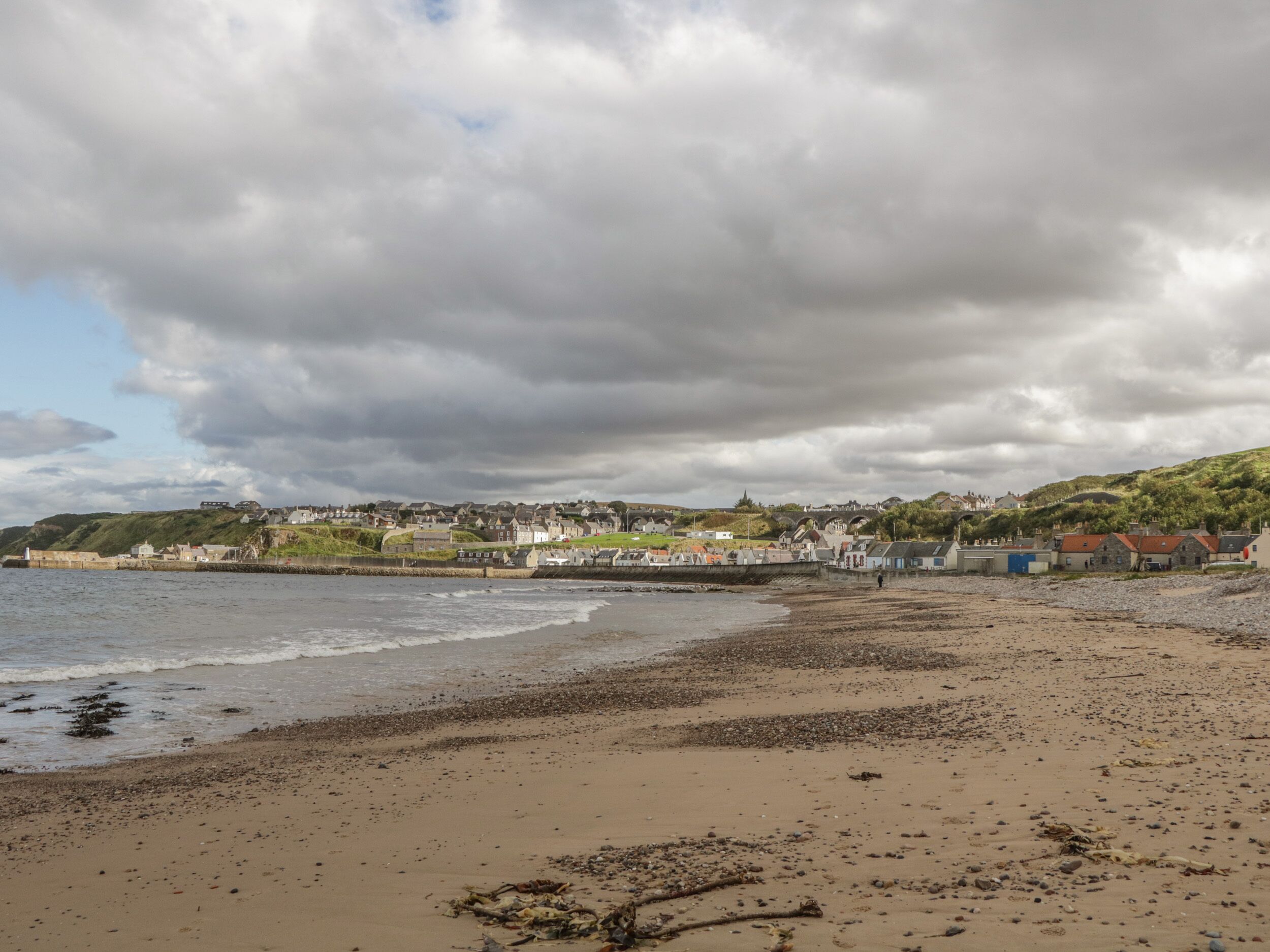A coastal beach with a sandy shore, scattered seaweed, and a backdrop of houses and greenery under a cloudy sky.