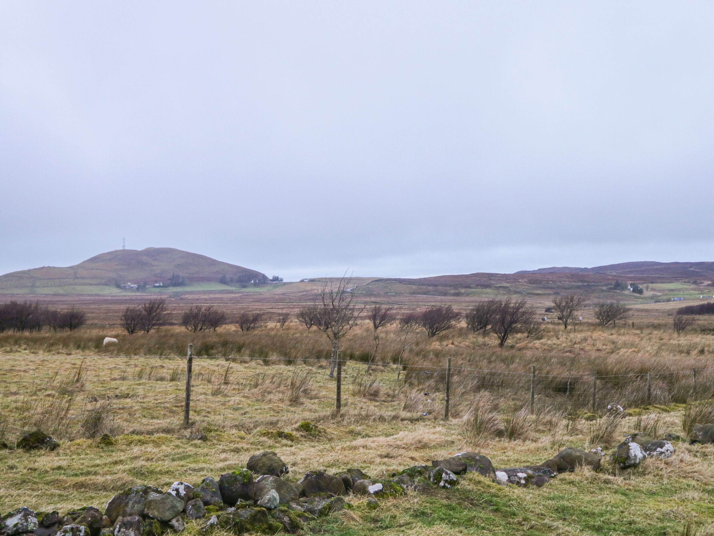 A rural landscape with rolling hills, a stone wall, and sparse vegetation.