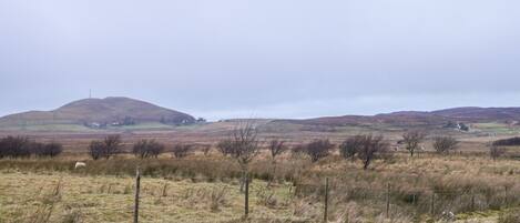 A rural landscape with rolling hills, a stone wall, and sparse vegetation.