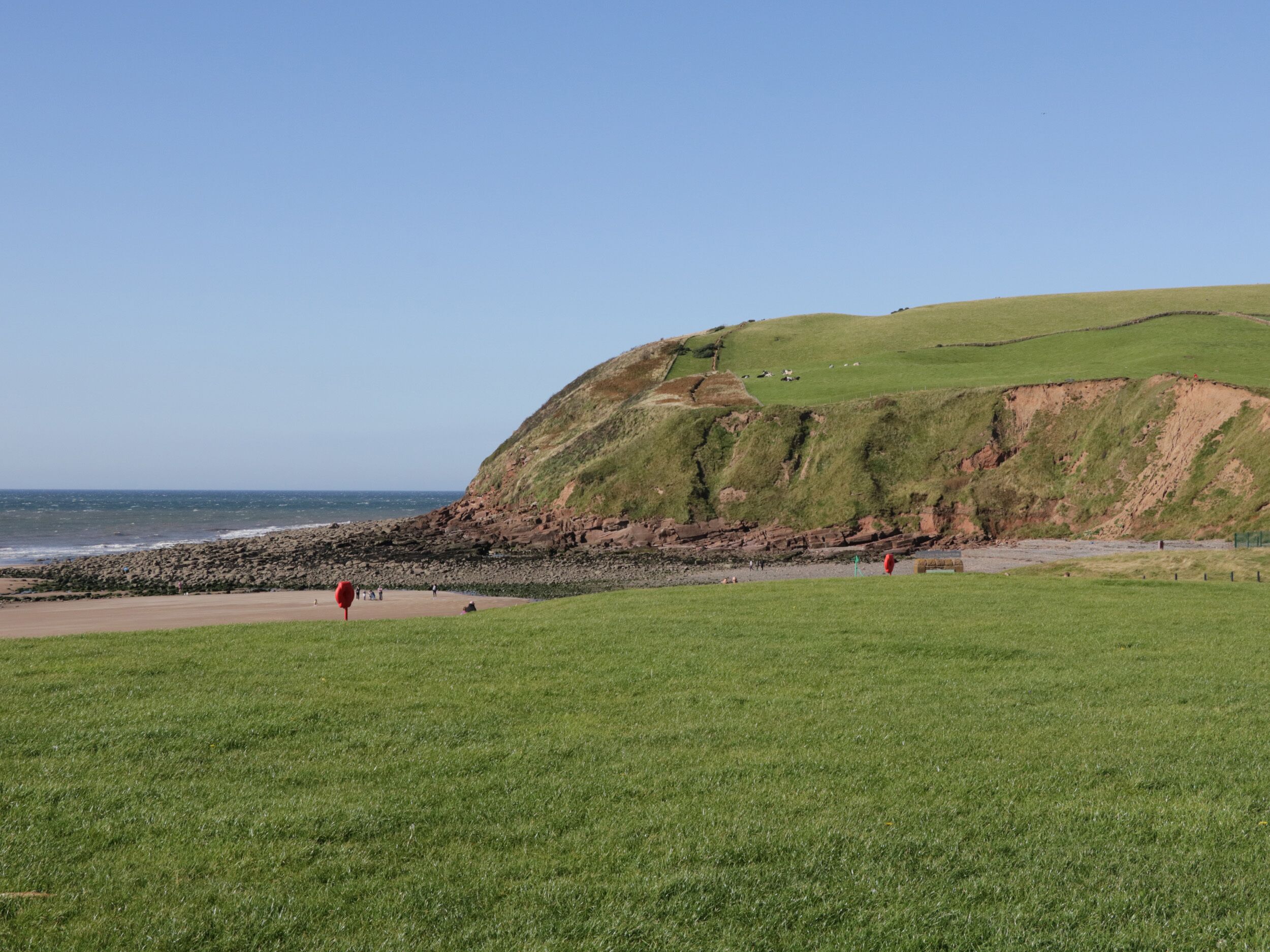 Un paisaje costero con un primer plano de hierba, una playa rocosa y un acantilado cubierto de pasto.