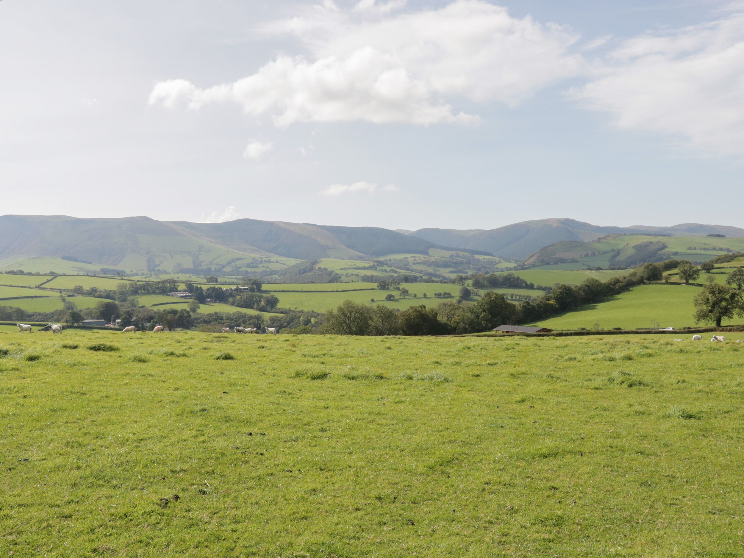 A rural landscape with rolling hills and a clear sky.