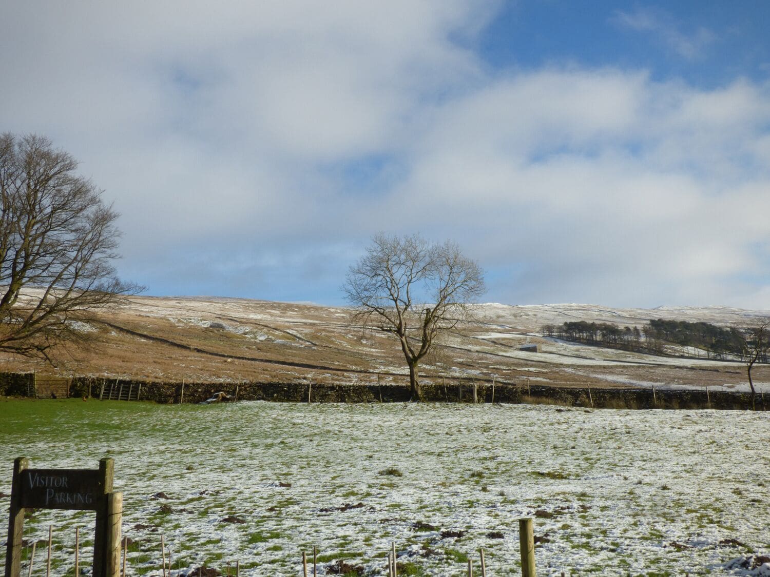 A snowy landscape with a sign indicating visitor parking.