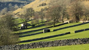 A rural landscape with stone walls, green fields, and a small stone building. - Dale View (Skipton)