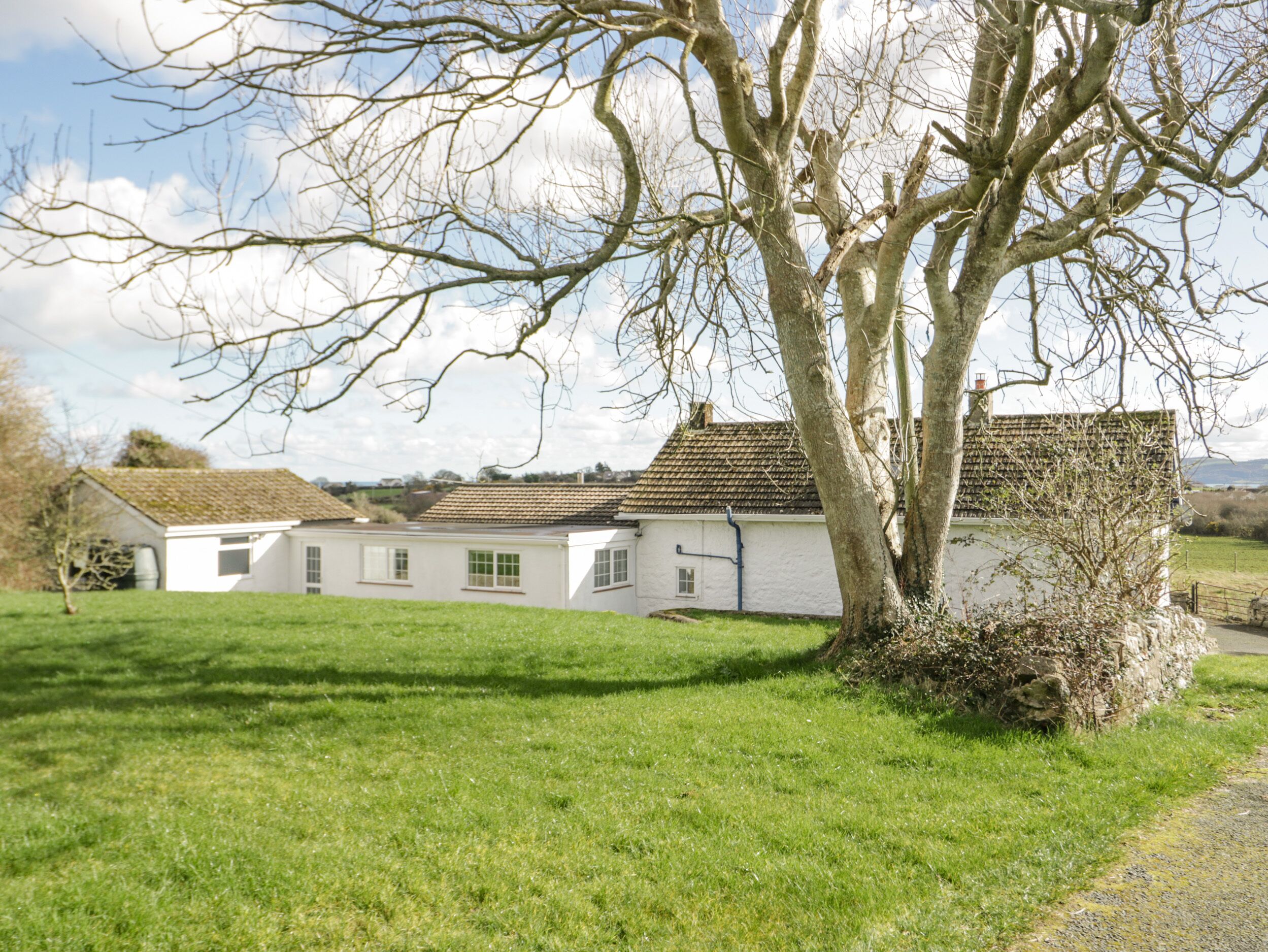 A white building with a tiled roof, surrounded by a grassy area and a large tree.