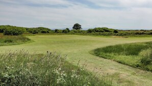En golfbana med klar himmel, grön gräsmatta och här och var några träd.