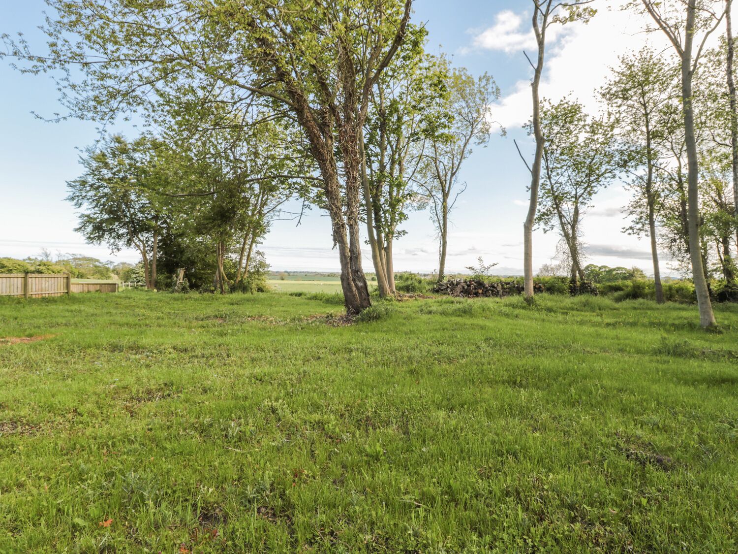A grassy field with trees and a wooden fence in the background.