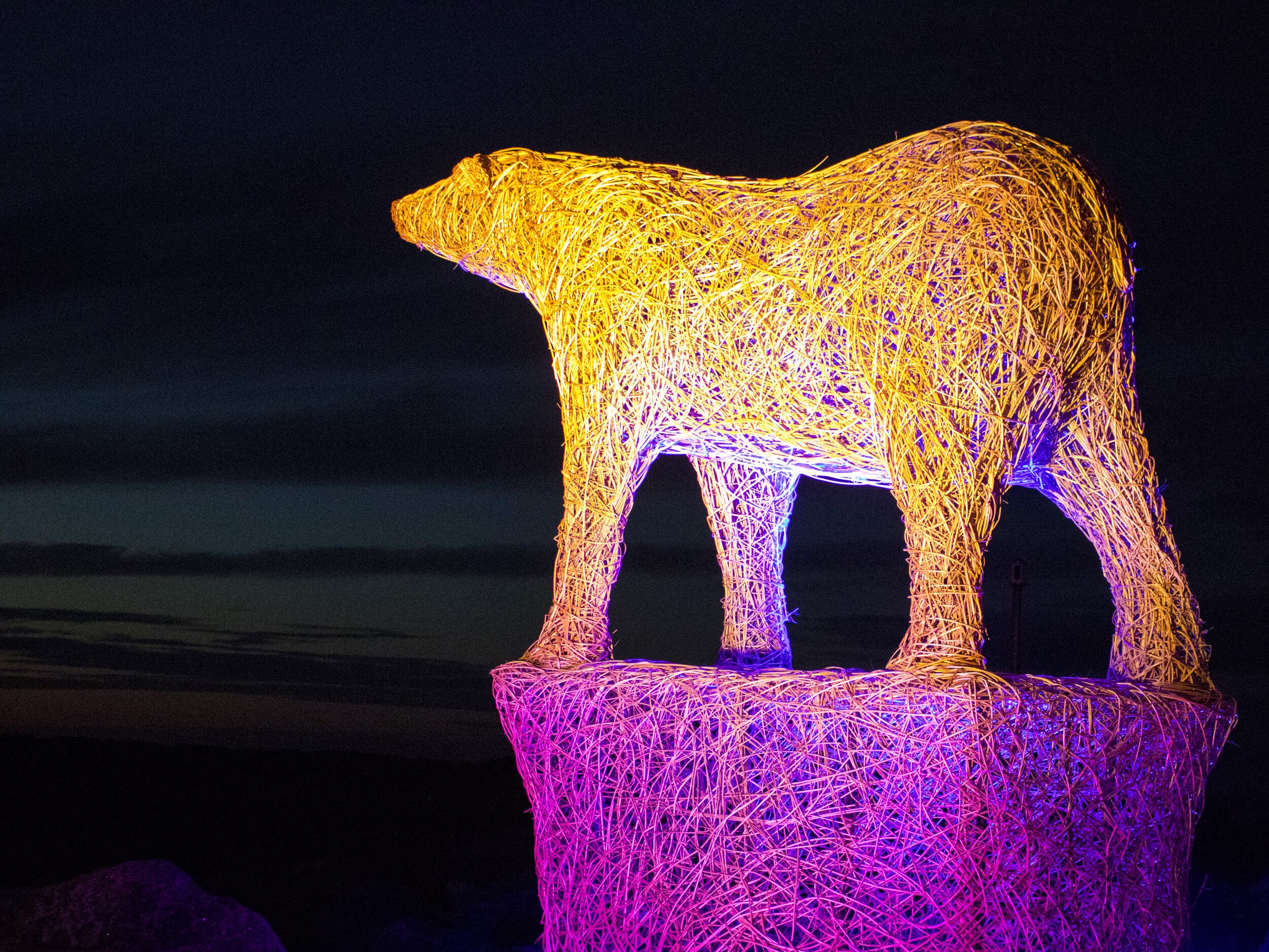 A sculpture of a bear made of intertwined materials, set against a dark sky.