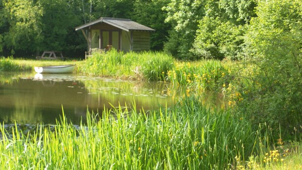 A small wooden cabin by a pond surrounded by lush greenery. - Berrys Place Farm Cottage (Gloucester)