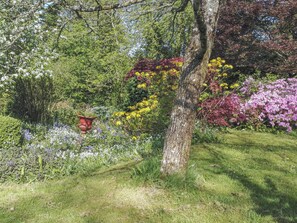 Stroll through a serene garden filled with a variety of flowering plants and trees.