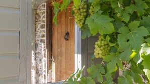 Una puerta de madera rústica con un picaporte de metal, rodeada de densas hiedras verdes.