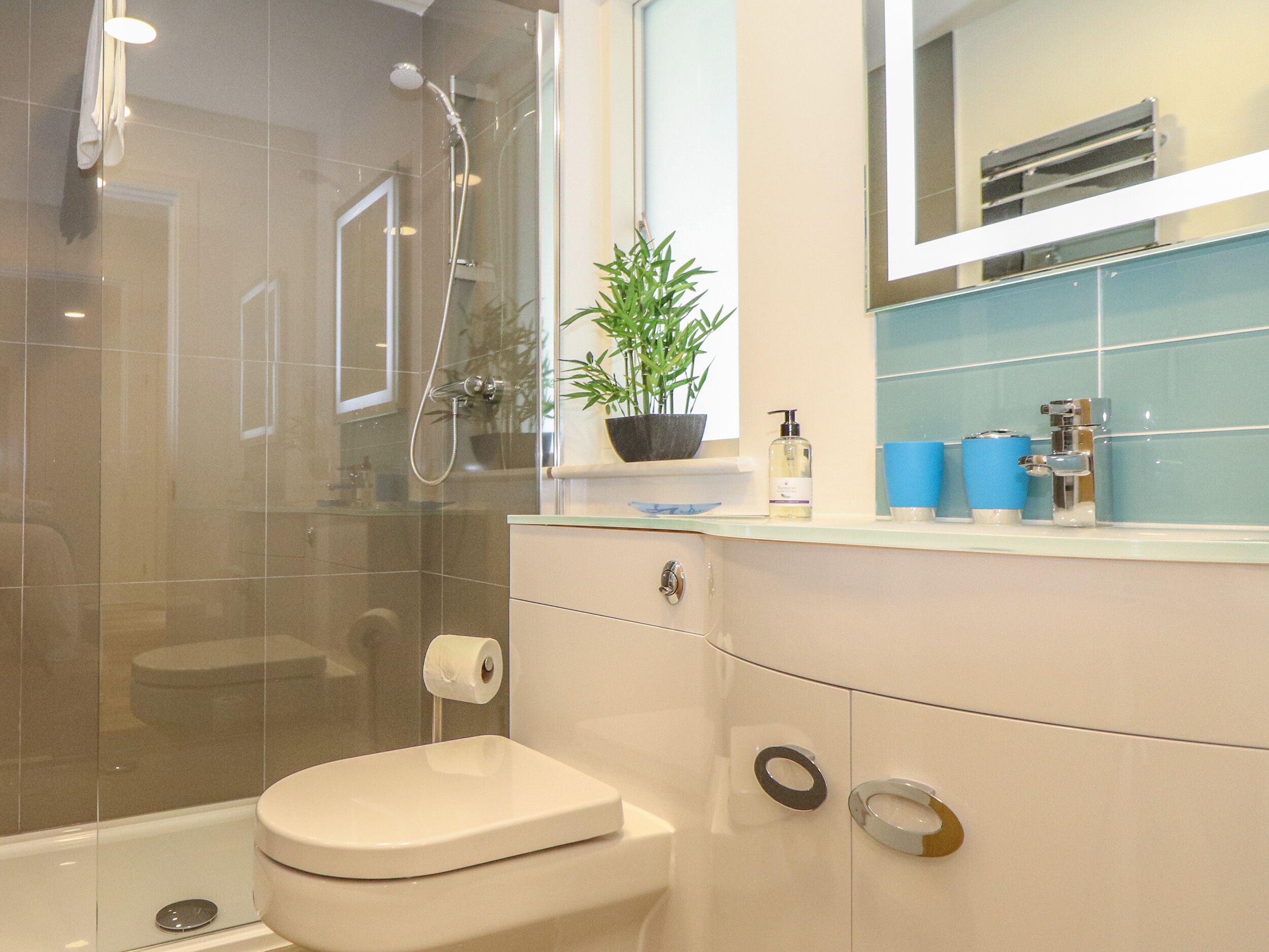 A modern bathroom with a glass-enclosed shower, a toilet, a sink with a mirror above it, and a potted plant on the counter.
