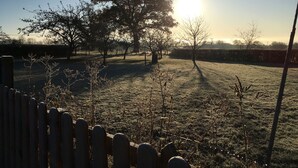 A rural landscape with a large tree, a wooden fence, and a clear sky. - The Old Cook House (Penrith)