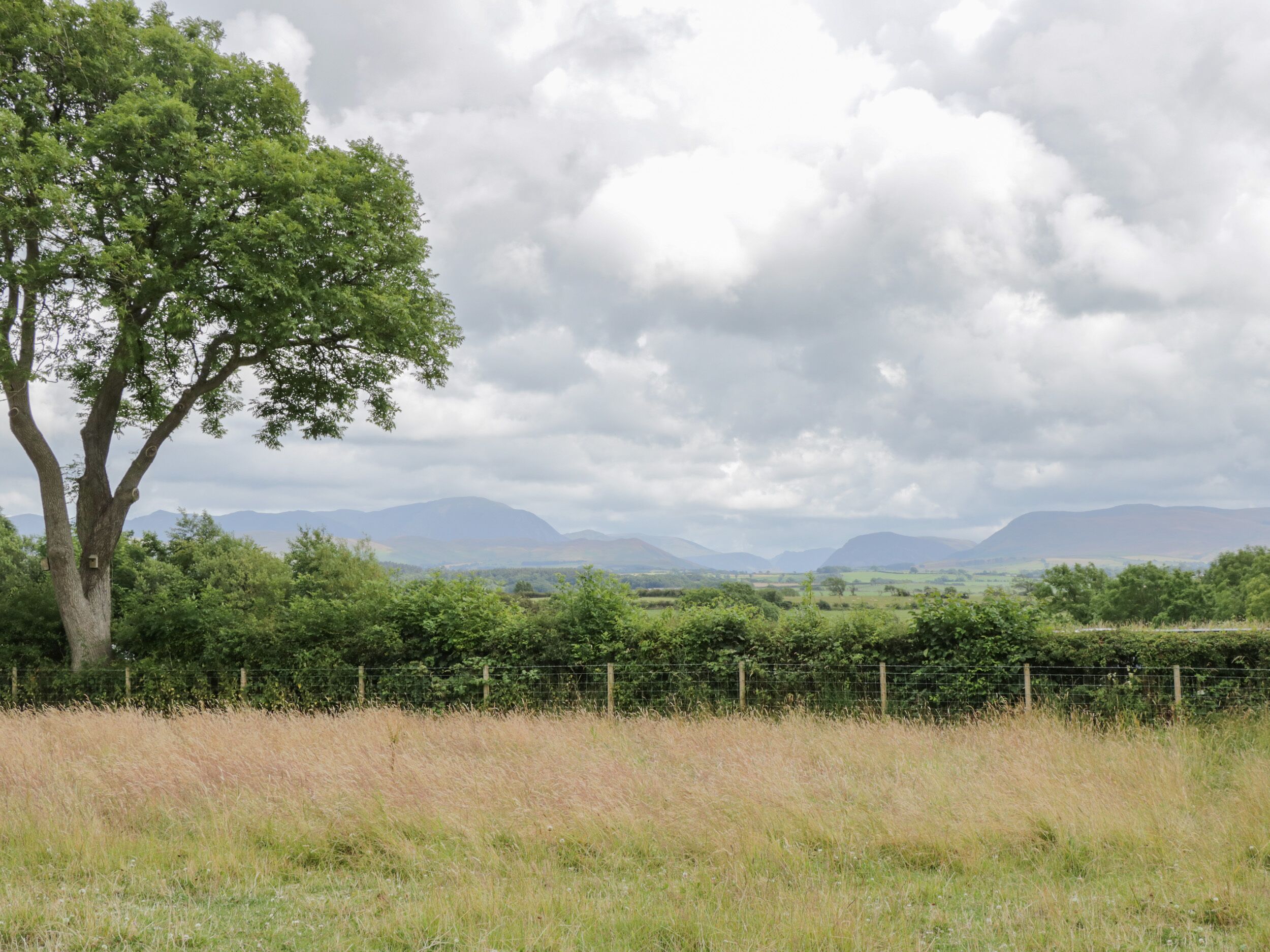 Landschaft mit Baum, Zaun und Bergen im Hintergrund unter bewölktem Himmel.