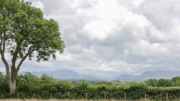 Landschaft mit Baum, Zaun und Bergen im Hintergrund unter bewölktem Himmel.