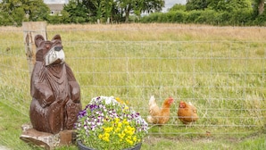 A garden with a wooden statue, a flower bed, and a wire fence. - The Barn (Workington)