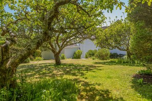 A lush garden with a large tree in the foreground, a white building in the background, and a clear sky.