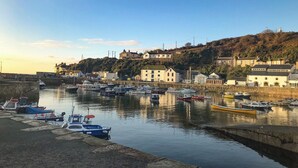 A harbor with boats docked and buildings on a hillside. - The Roost (Camborne)