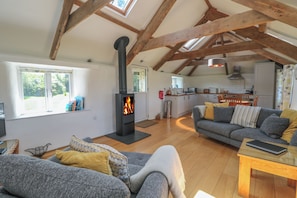 Cozy living space with a fireplace, comfortable seating, and a kitchen area.