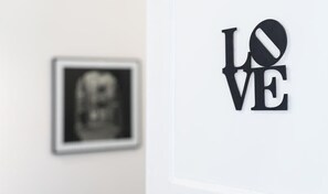 Interior detail - Apartament Alexandra  - accommodation in the heart of Krakow (Kraków)