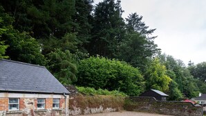 A rustic building with a sloped roof, surrounded by a gravel driveway and dense forest.
