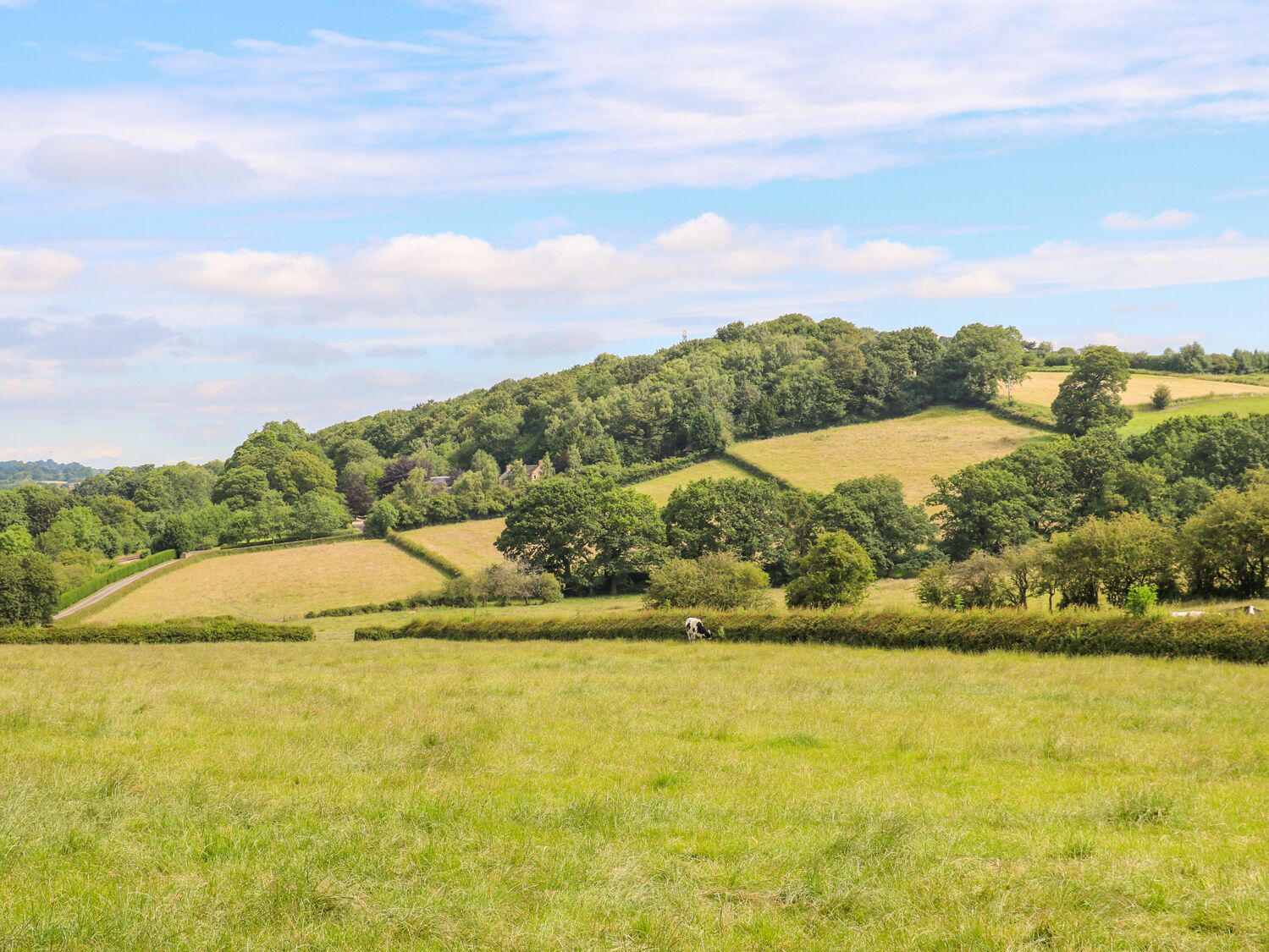 A rural landscape with rolling hills, fields, and scattered trees.