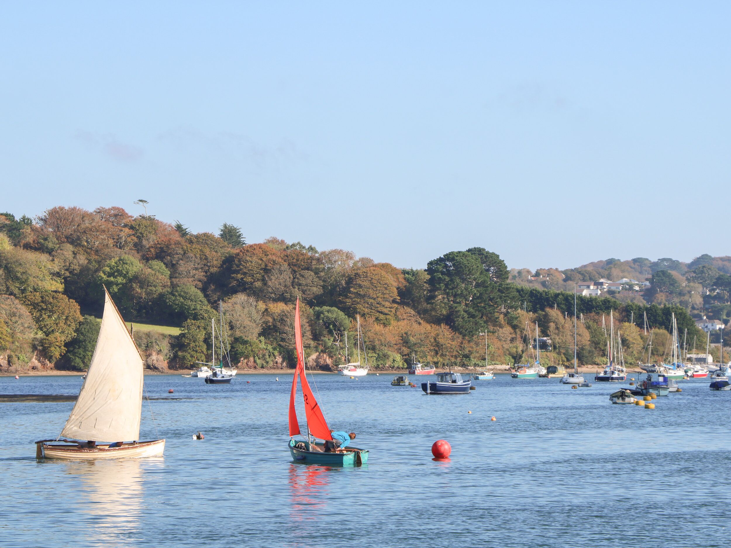 A calm harbor with sailboats and a small rowboat.