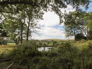 Paisagem natural com um lago rodeado por vegetação densa e árvores.