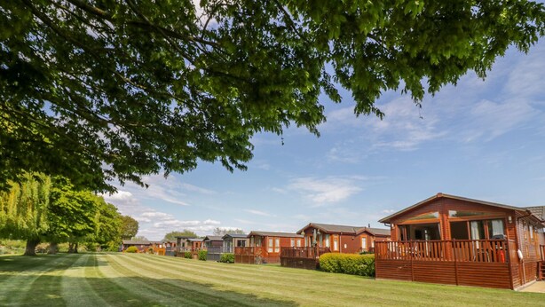 A row of wooden mobile homes with a well-maintained lawn and trees in the background. - Booster's Lodge (Stratford-upon-Avon)
