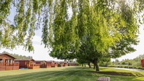 A grassy area with a picnic table, a large tree, and a row of cabins. - Booster's Lodge (Stratford-upon-Avon)