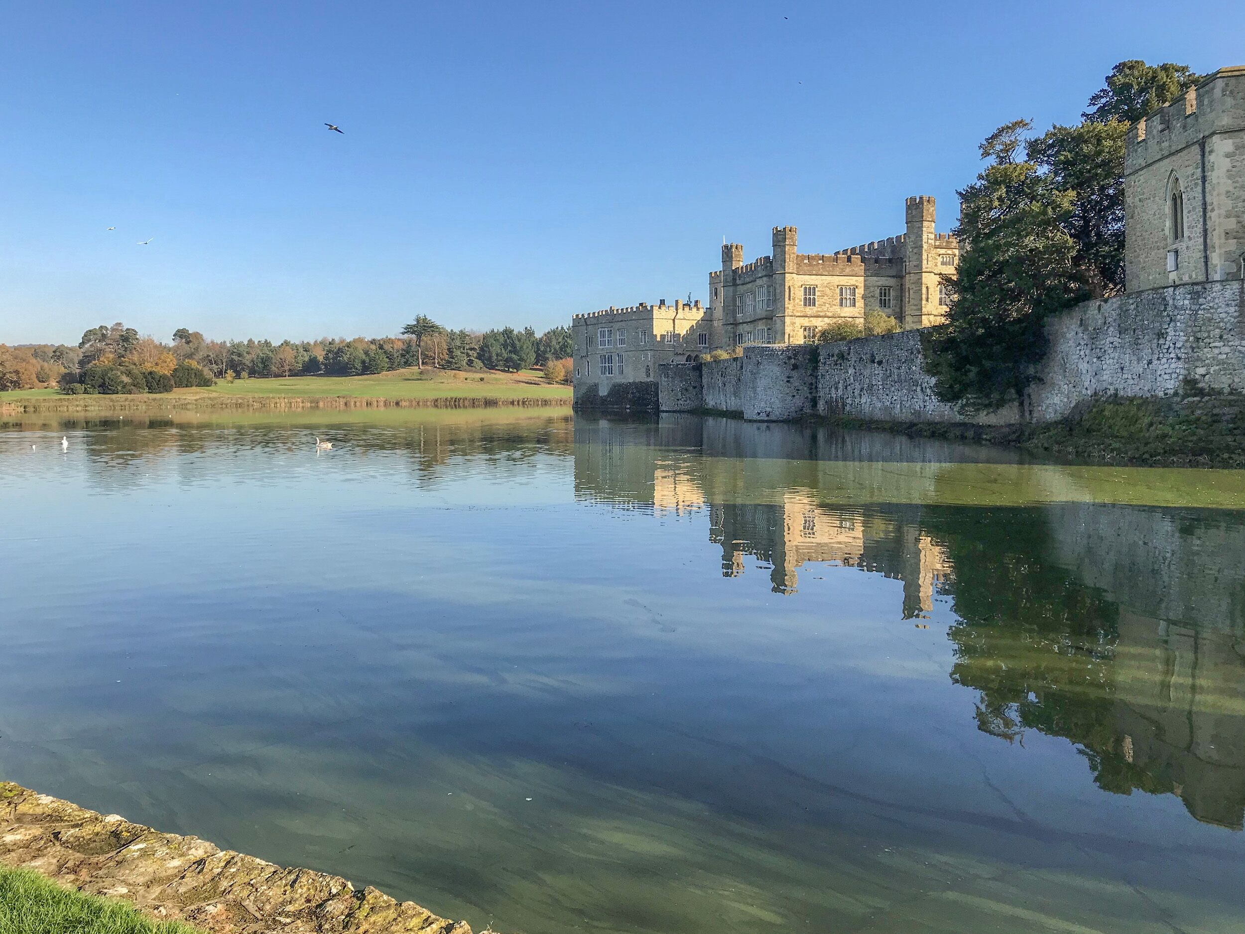 A castle with a moat, reflecting the structure and trees.