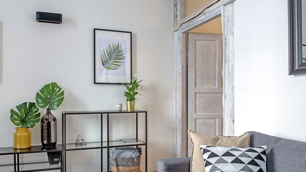 A living room with a grey sofa, a black metal console table with plants, a framed leaf artwork, and a rustic wooden door. - 3D FLORIANSKA 15 Apartament (Kraków)