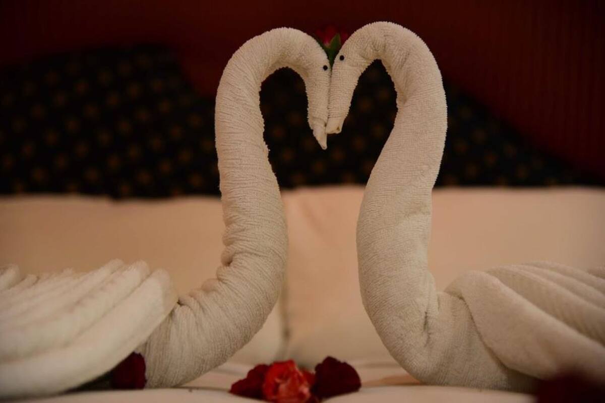 Dos almohadas con forma de cisne sobre una cama con una rosa roja.