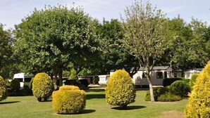 Property grounds - Quantock Orchard Caravan Park (Taunton)
