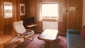 Ein Zimmer mit Holzwänden, einem Fernseher auf einem Holztisch, einem blauen Sofa, einem gemusterten Teppich und einem Fenster mit Vorhängen.